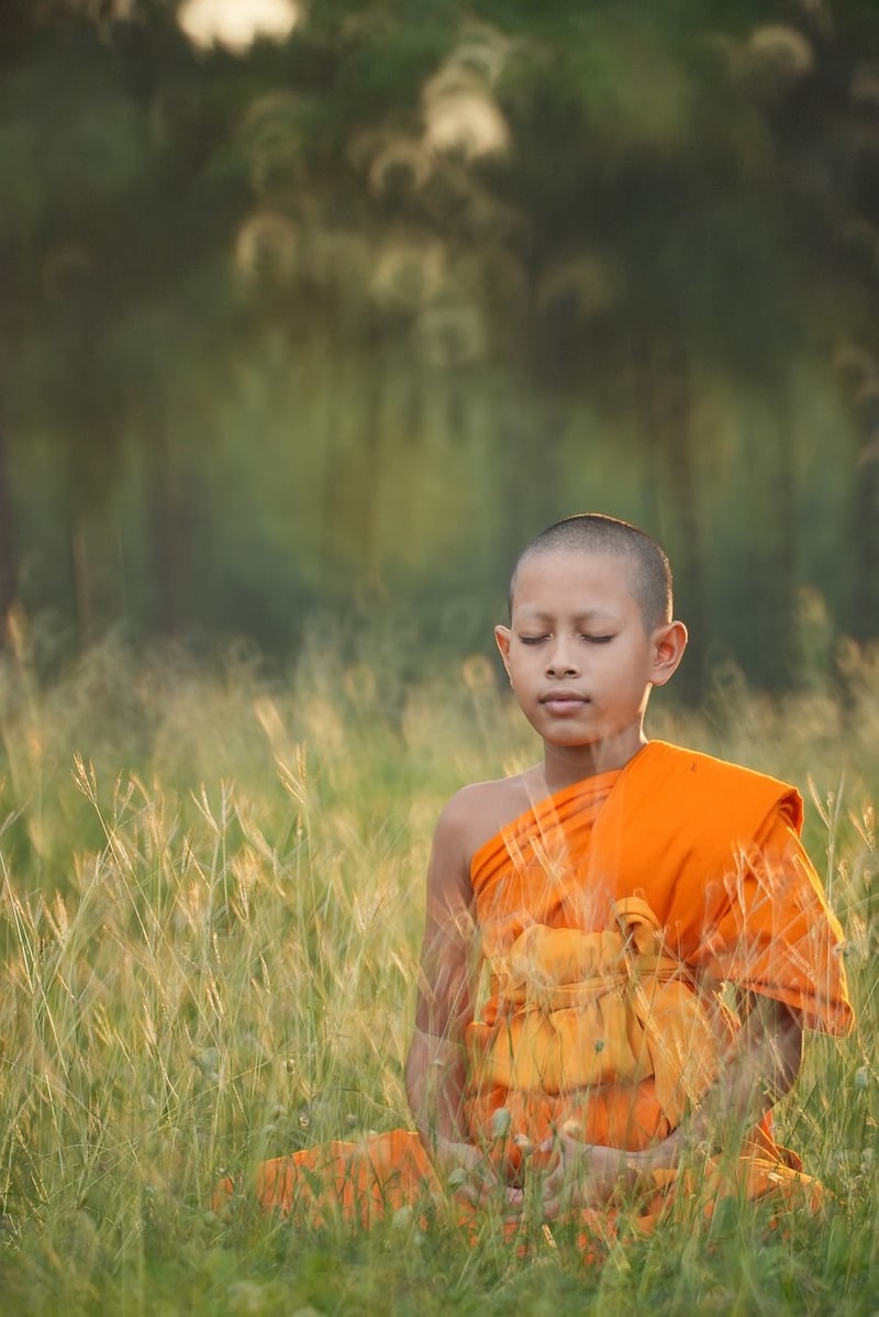 Mindful Stillness